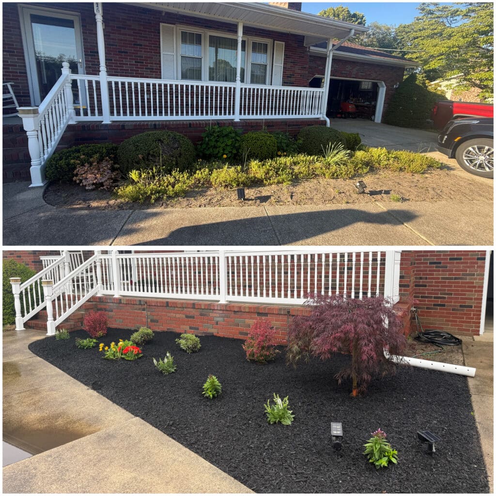 redline landscaping design