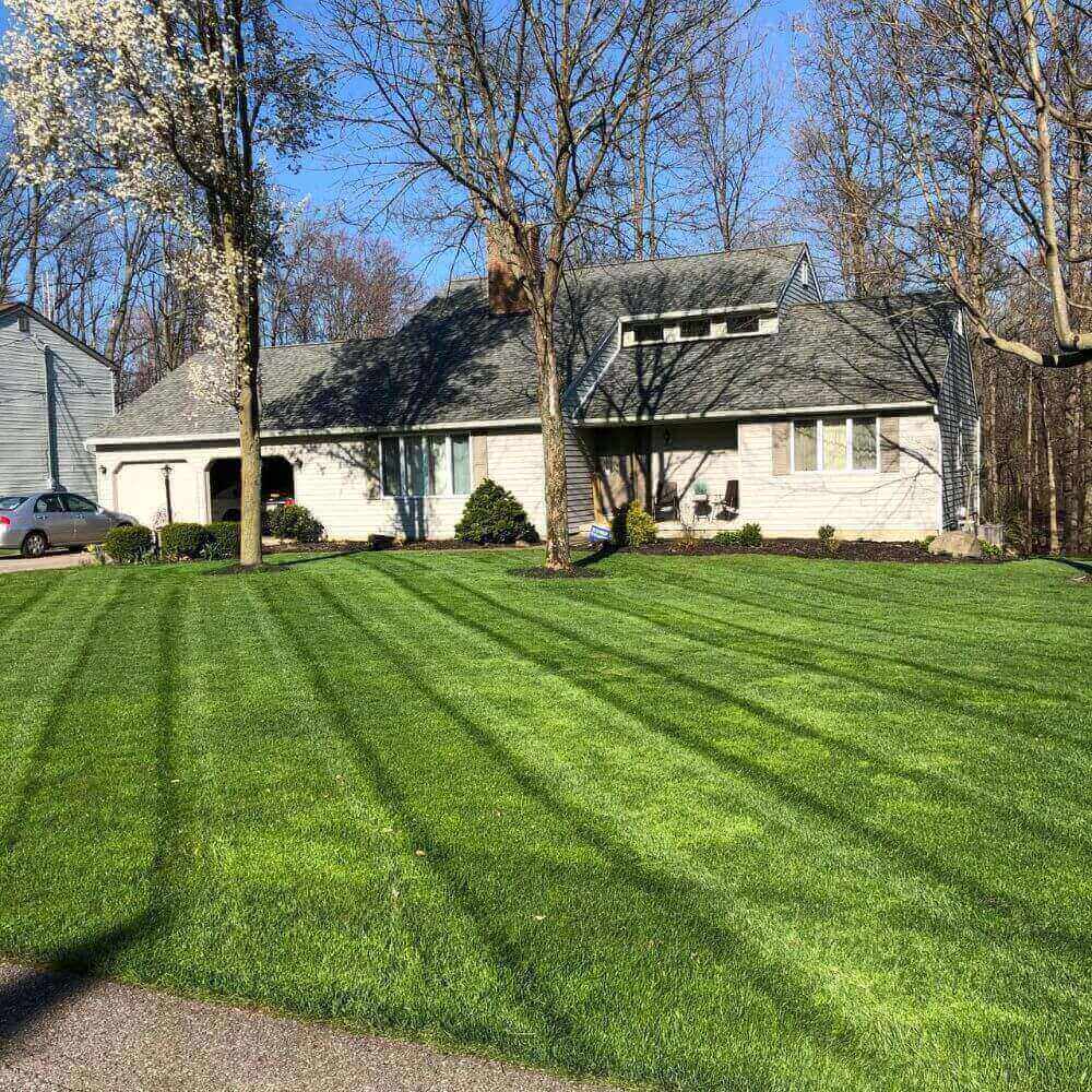 redline landscaping service